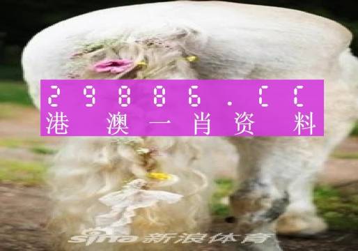 数码 第968页