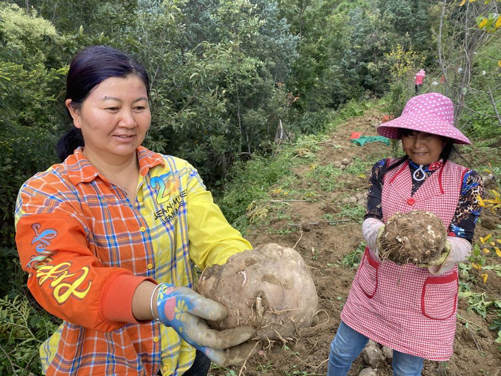 盐边县最新新闻报道