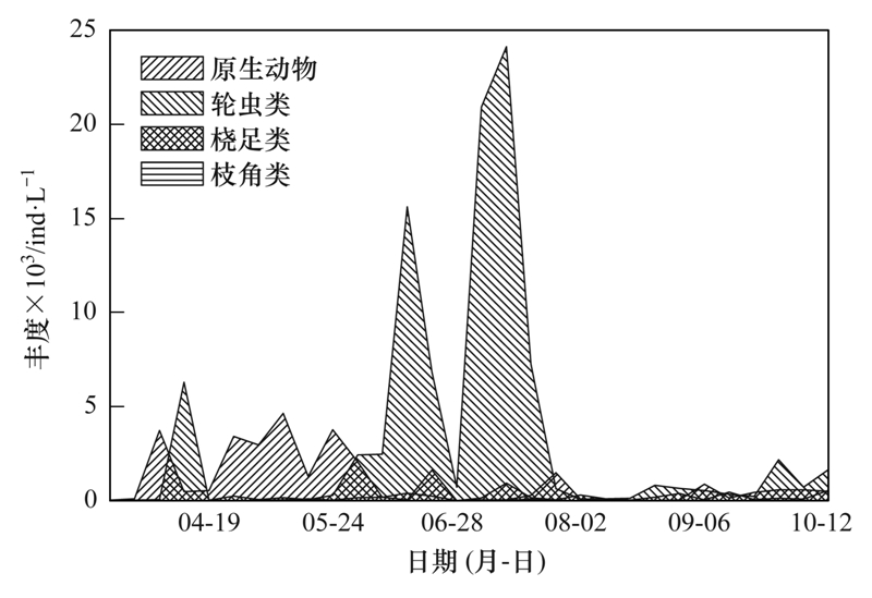 天津珍熙最新招聘动态及其影响