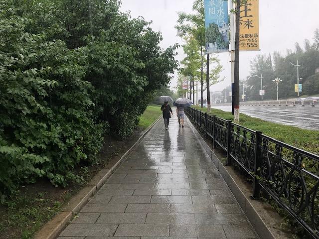 岫岩暴雨最新消息，灾害应对与影响分析