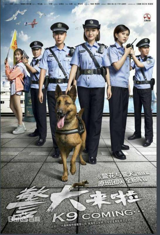 最新警犬电视剧大全，热血与忠诚的荧幕展现