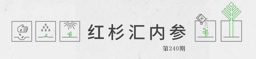 路边内参最新地址，探索信息前沿的宝藏之地