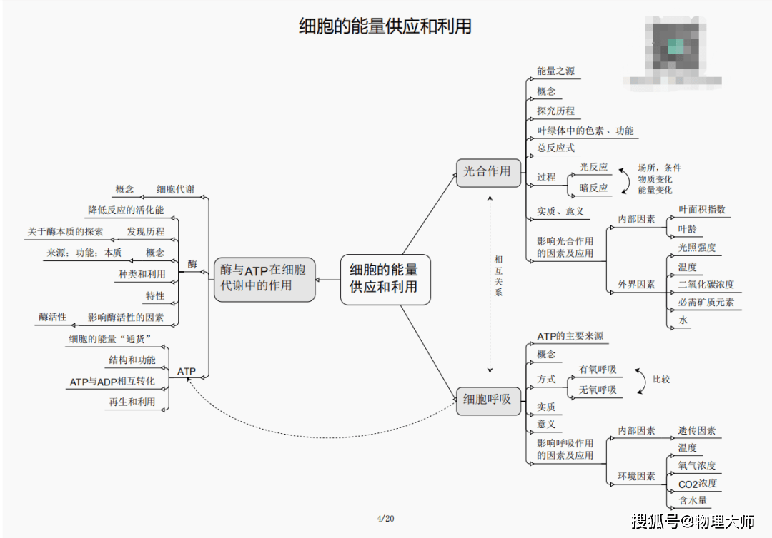 蝴蝶谷最新网站，探索美丽与知识的交汇点