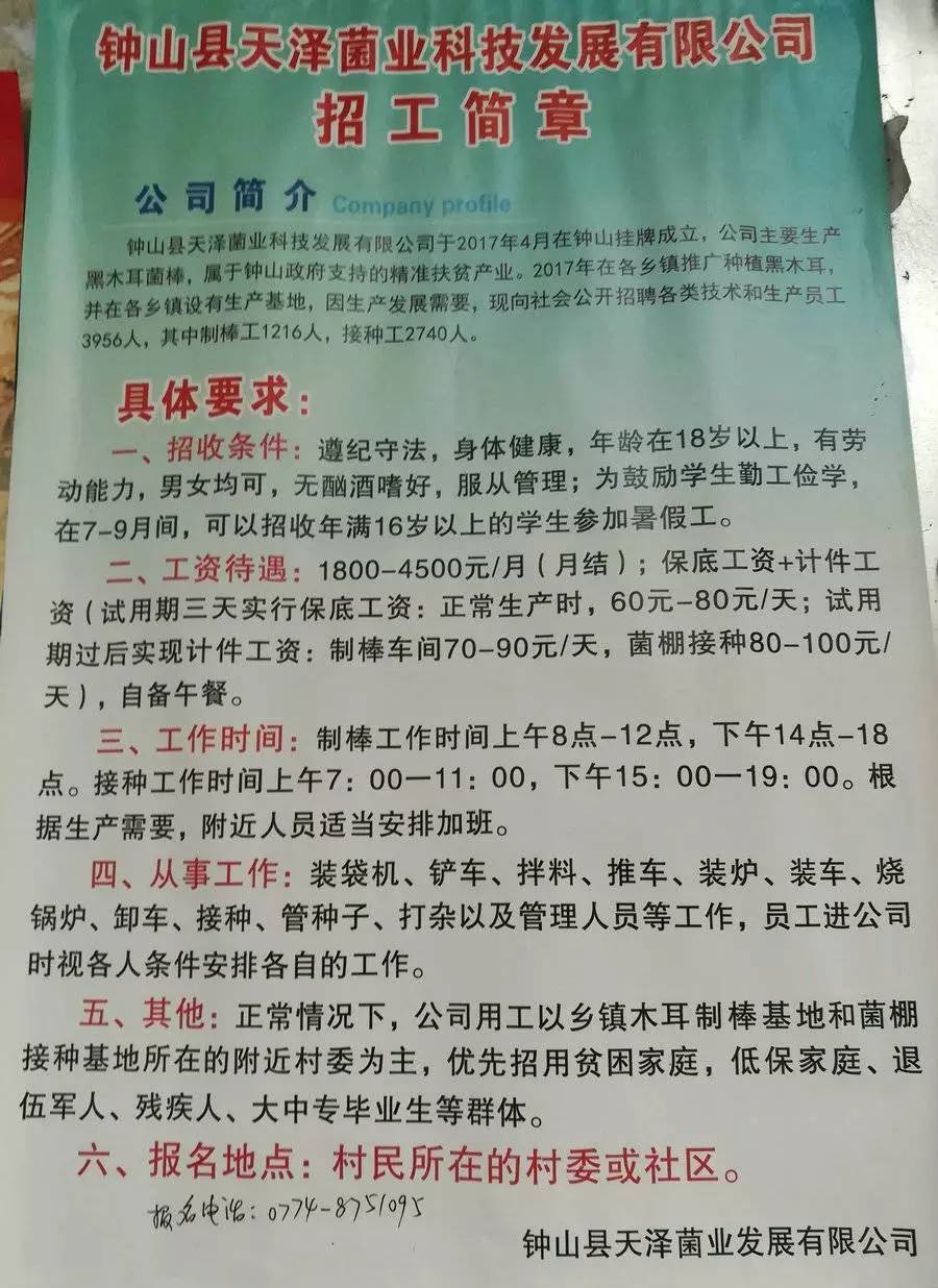 高唐天工最新招聘信息及职业机会探讨